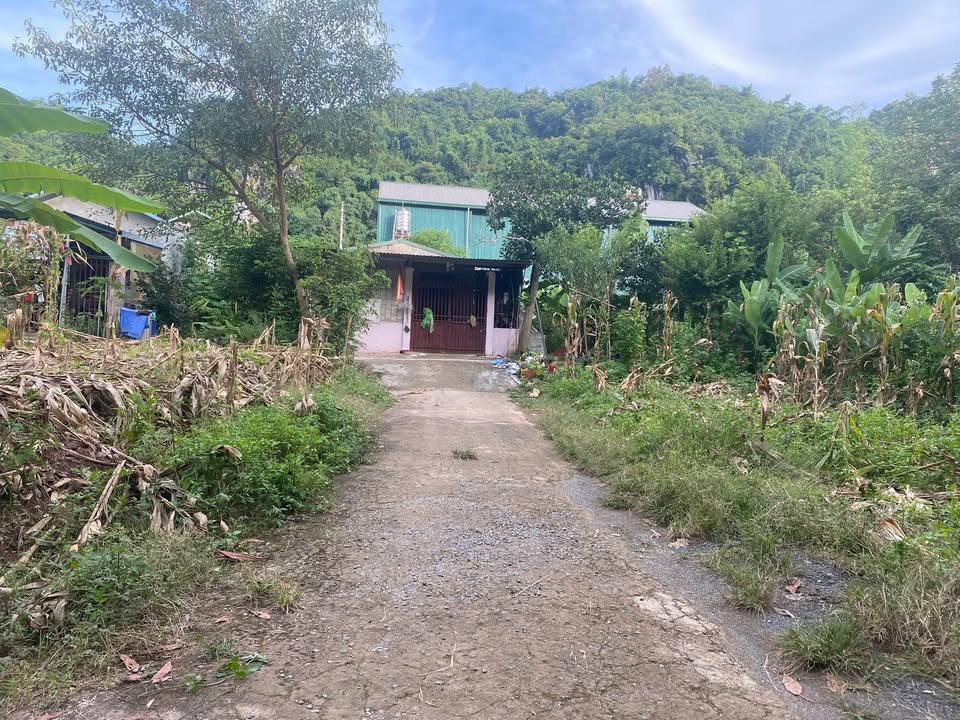 Nhà cấp 4 Chiềng Cơi, Sơn La 135m² giá 900 triệu - Sẵn vào ở ngay!