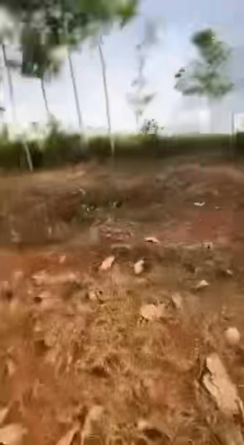 Đất nông nghiệp Nhân Nghĩa Cẩm Mỹ 8000m² giá chỉ 6.4 tỷ - Cơ hội đầu tư tuyệt vời!