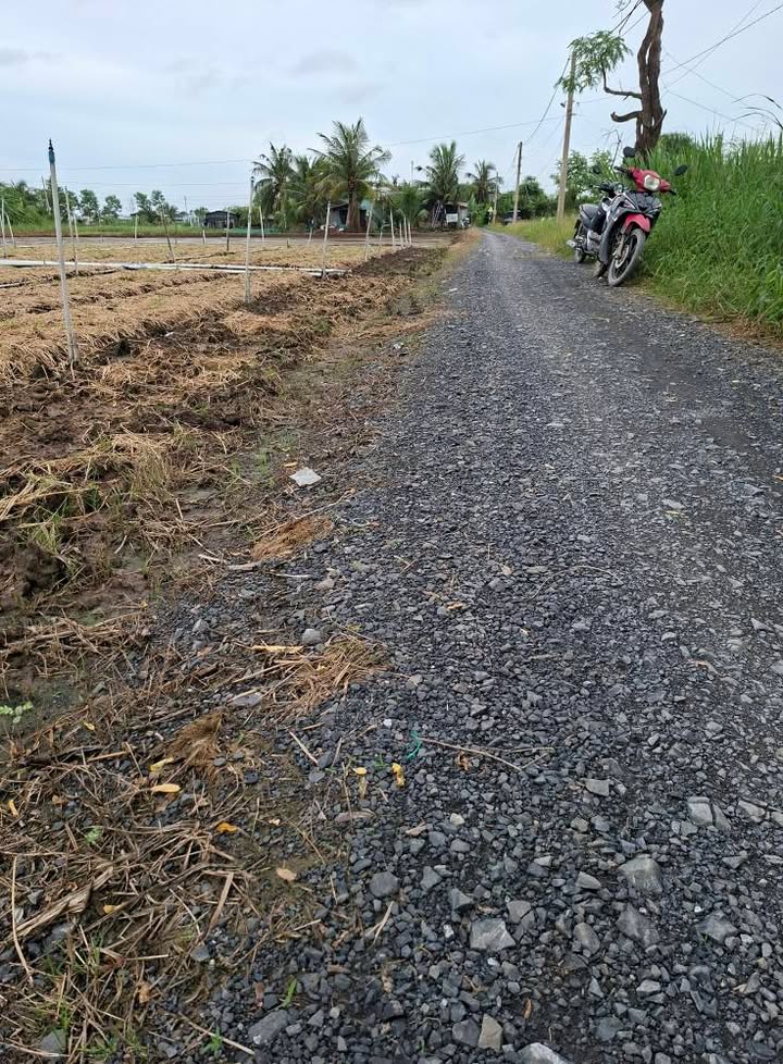 Đất nền 2100m² tại Bình Ân, Gò Công Đông - Giá 1.785 tỷ, vị trí đẹp!