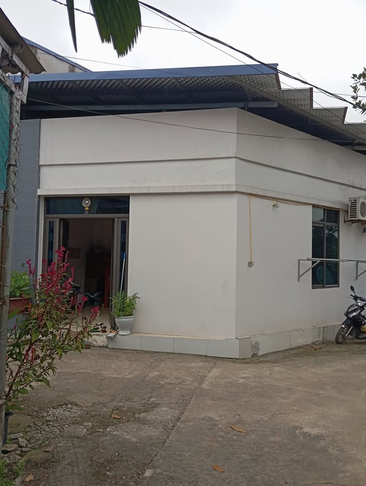 Nhà cấp 4 phường Quang Trung 78m² giá 1.2 tỷ - Ô tô vào tận đất!