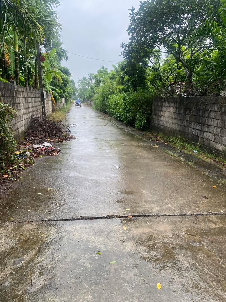 Đất nền Liên Phương Hưng Yên 90m² giá 2 tỷ - Đường vào thông thoáng!