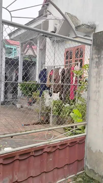 Đất Làng Tiến Sĩ Thôn Mộ Trạch 132m² giá 2.4 tỷ - Lô Góc đẹp, gần chợ!