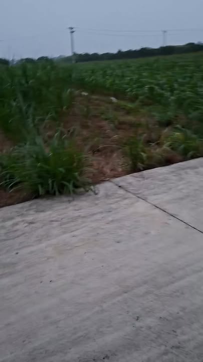 Đất nền phường Sơn Nam, Hưng Yên 168m² giá 2.6 tỷ - Đầu tư sinh lời ngay!