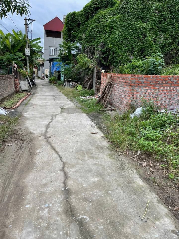 Đất nền Lạc Đạo, Văn Lâm, Hưng Yên 86m² - Chính chủ bán gấp!