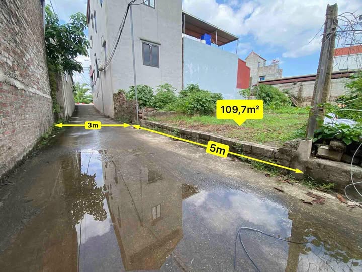 Đất Tự Nhiên Thường Tín 109m² giá 3 tỷ - Đầu tư sinh lời ngay!