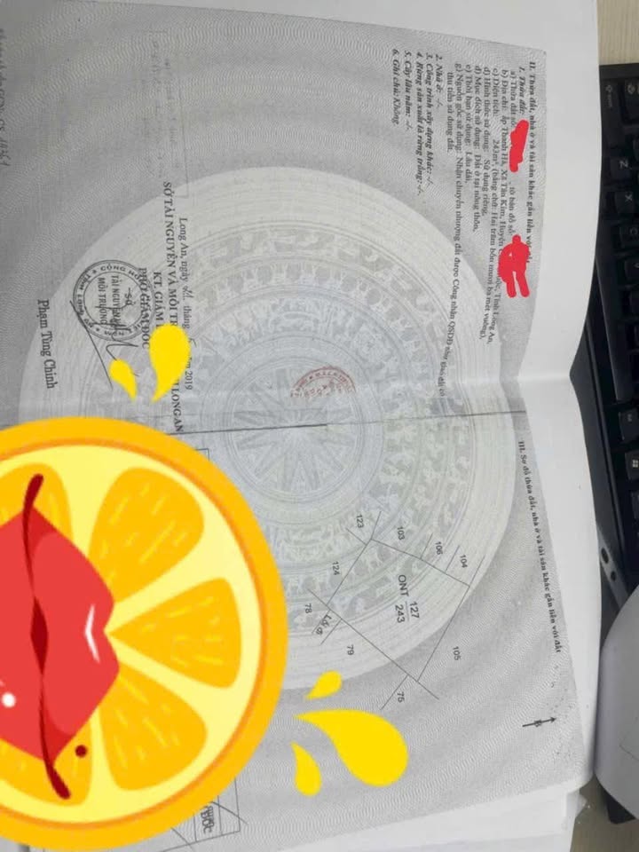 Dãy trọ 17 căn tại Ấp Thanh Hà, Cần Giuộc, 243m² giá 3.7 tỷ - Đầu tư sinh lợi ngay!