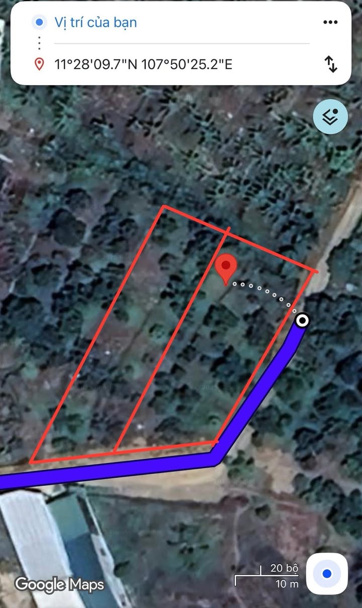 Đất nền chính chủ Bảo Lâm 295m² giá 2 tỷ - Cơ hội đầu tư hấp dẫn!