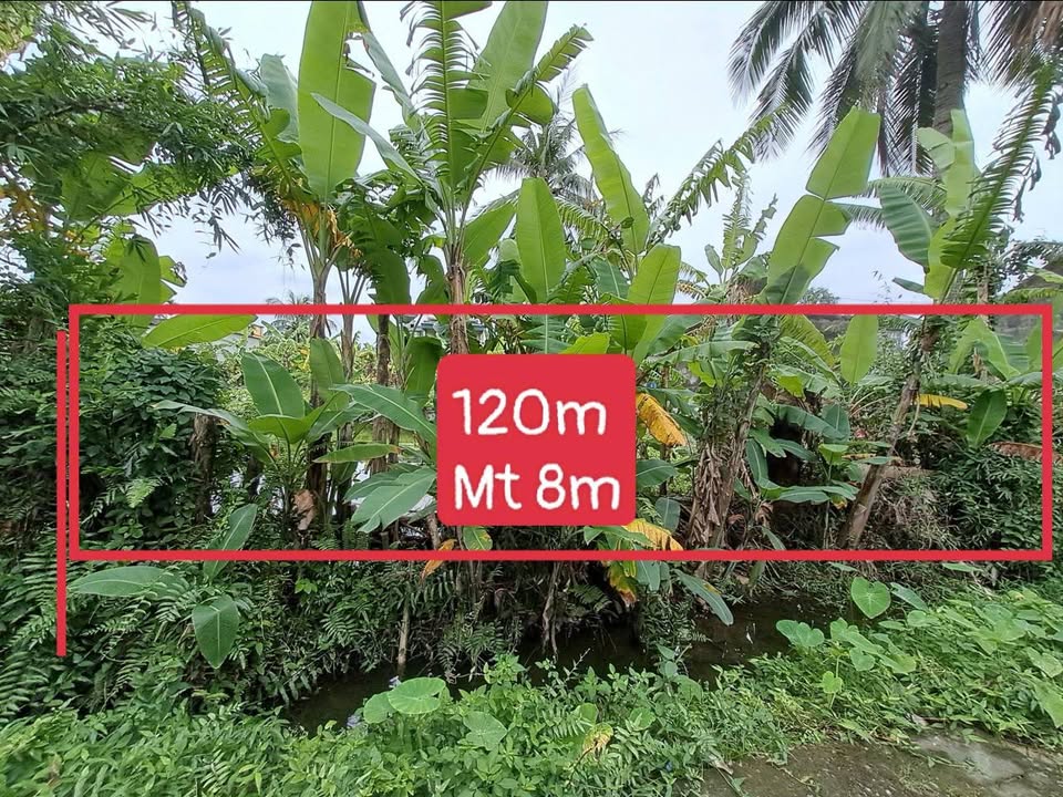 Đất nền Quảng Cát 120m² giá 1.05 tỷ - Mặt tiền rộng, vị trí đắc địa!