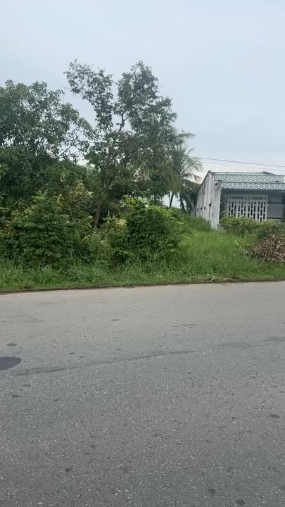 Đất thổ cư Long Chữ Tây Ninh 530m² giá 1.6 tỷ - Sổ hồng chính chủ!