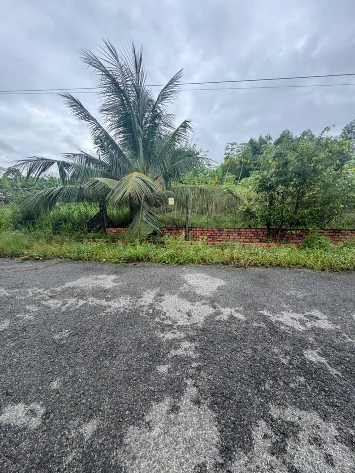 Đất nền Ninh Sơn Tây Ninh 290m² giá 5.01 tỷ - Đầu tư hấp dẫn!