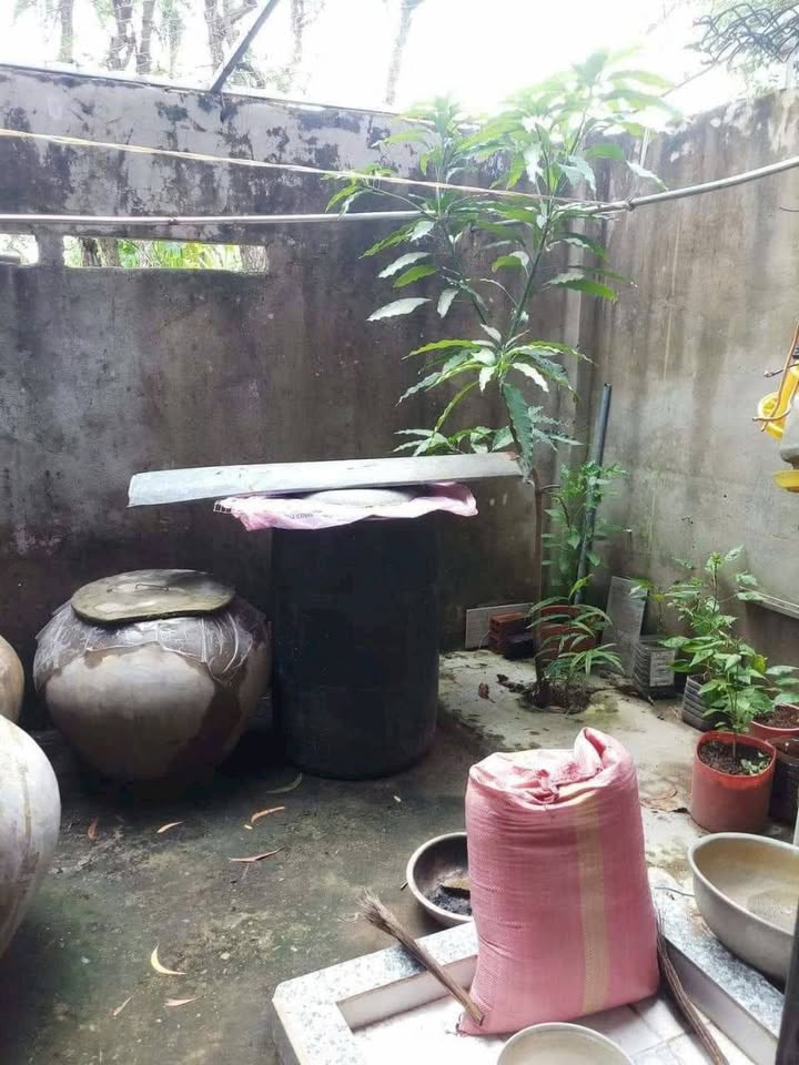 Nhà riêng Thạnh Phú Bến Tre 104m² giá 600 triệu - Sẵn sàng vào ở ngay!