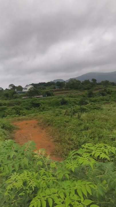 Đất nghỉ dưỡng Cư Yên, Lương Sơn 8.626m² - Đầu tư sinh lời ngay!