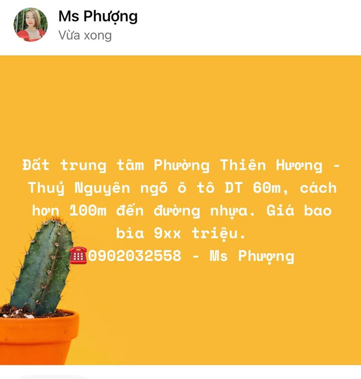 Đất nền trung tâm Phường Thiên Hương, Thủy Nguyên 60m² giá 900 triệu - Đầu tư sinh lời ngay!