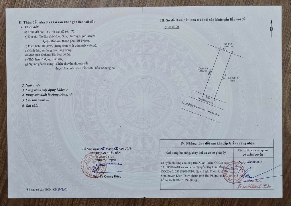 Đất nền chính chủ đường Thanh Niên Đồ Sơn 100m² giá chỉ 3 tỷ - Cơ hội đầu tư hấp dẫn!