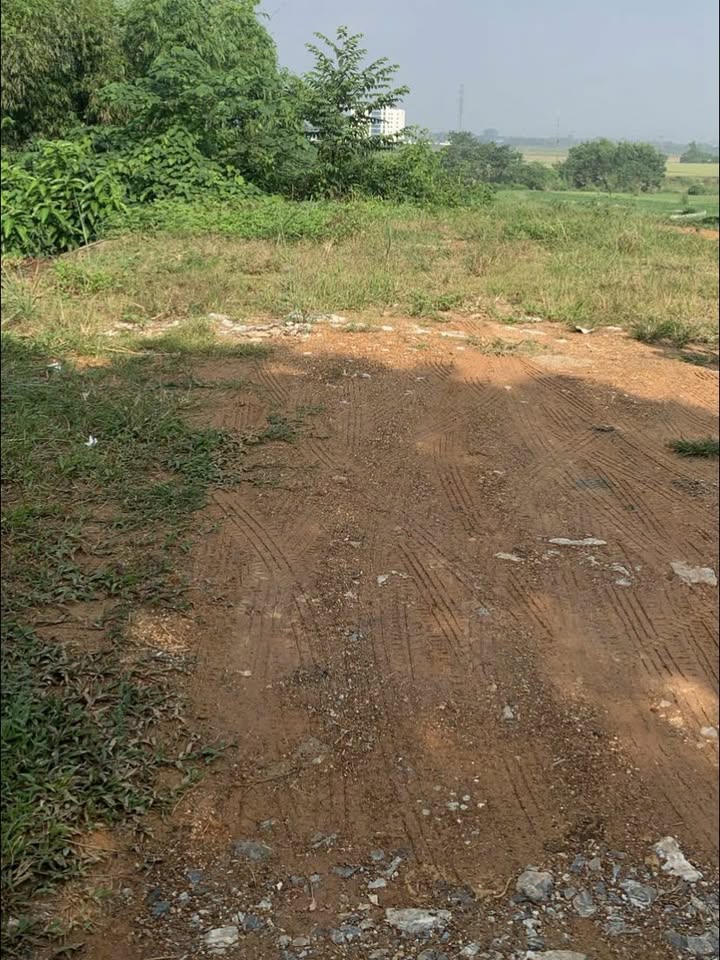 Đất thổ cư Hưng Thành Tuyên Quang 100m² giá chỉ 1 tỷ - Pháp lý rõ ràng!