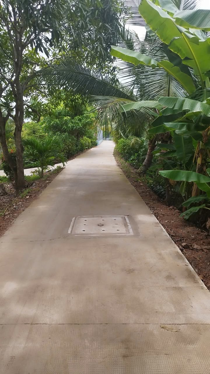 Đất thổ cư 1800m² tại Tân Quý Tây, Bình Chánh - Giá chỉ 15.5 tỷ!