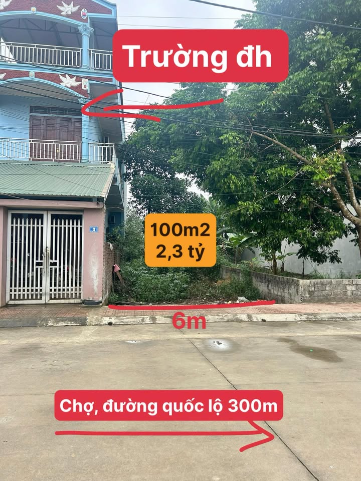 Đất nền Hoài Đức 100m² giá 2.3 tỷ - Sổ hồng chính chủ, tiện ích đầy đủ!
