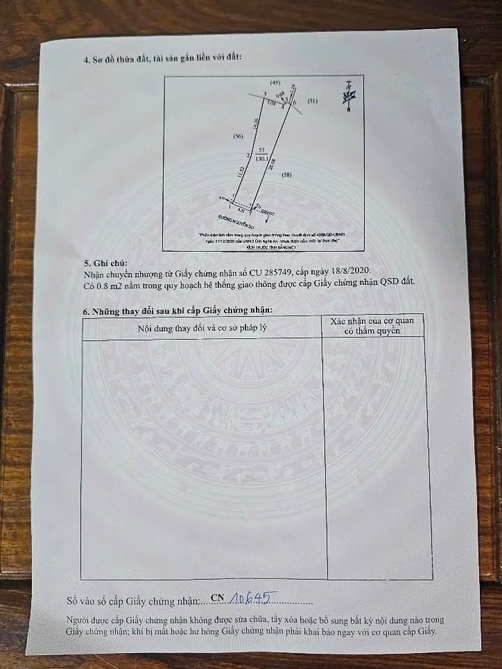 Đất mặt đường Nguyễn Du Vinh 130m² giá 7 tỷ - Vị trí đẹp, kinh doanh sinh lợi!