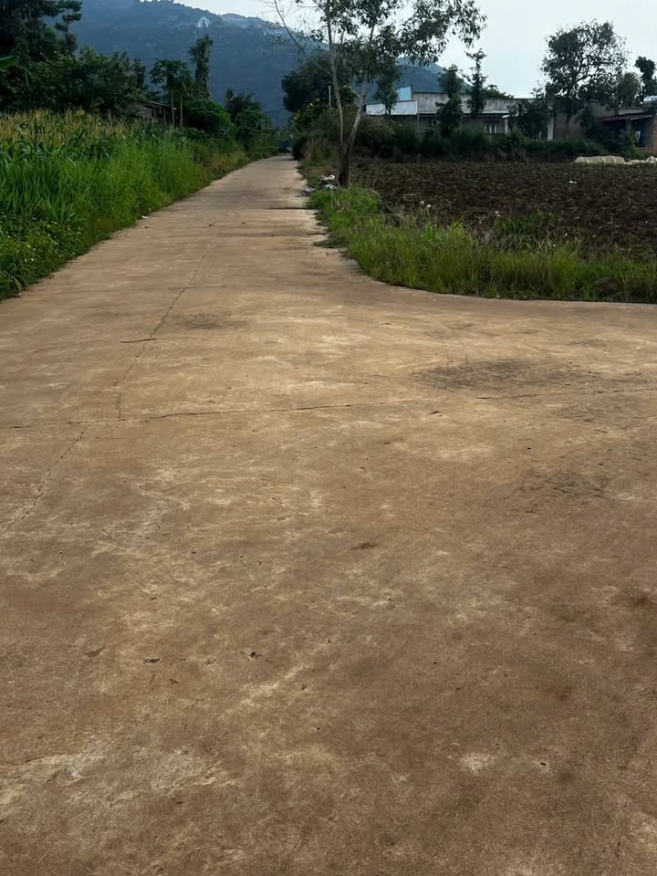 Đất nền Suối Cao, Xuân Lộc 360m² - Cơ hội đầu tư tuyệt vời!