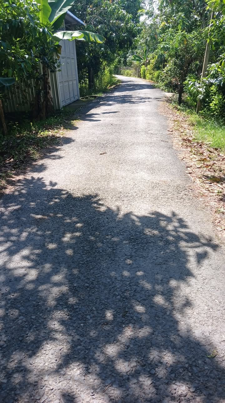 Đất nền Tân Thanh, Cai Lậy 1495m² giá chỉ 120 triệu/m ngang - Cơ hội đầu tư hiếm có!