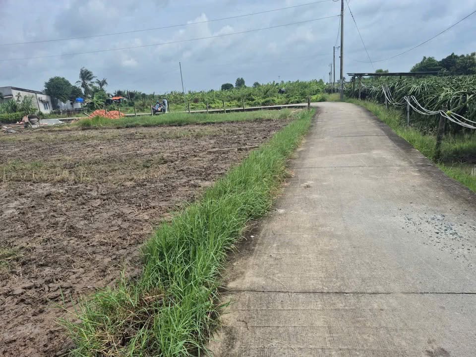 Đất nền Vĩnh Công Châu Thành 135m² giá 450 triệu - Đầu tư sinh lời ngay!