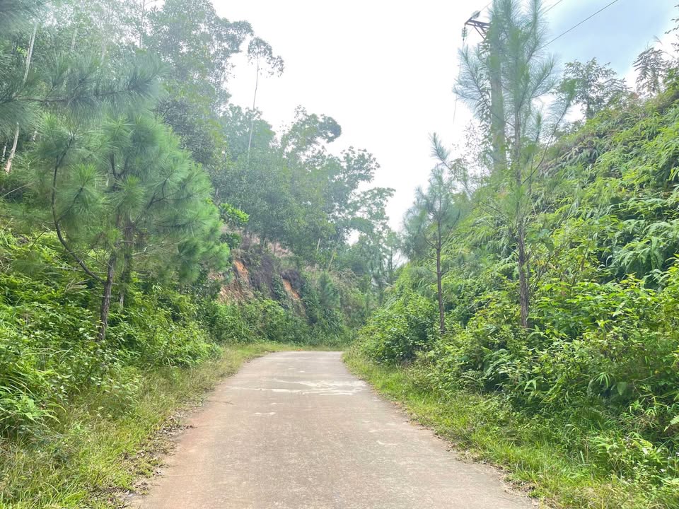 Đất rừng sản xuất 4ha Ngọc Thanh, Phúc Yên - Giá thỏa thuận hấp dẫn cho nghỉ dưỡng