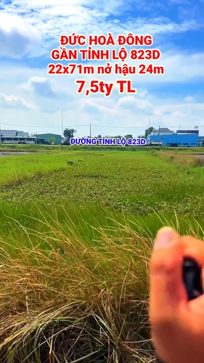 Đất thổ cư Đức Hòa Đông 1551m² giá 7.5 tỷ - Mặt tiền đường thông thoáng!