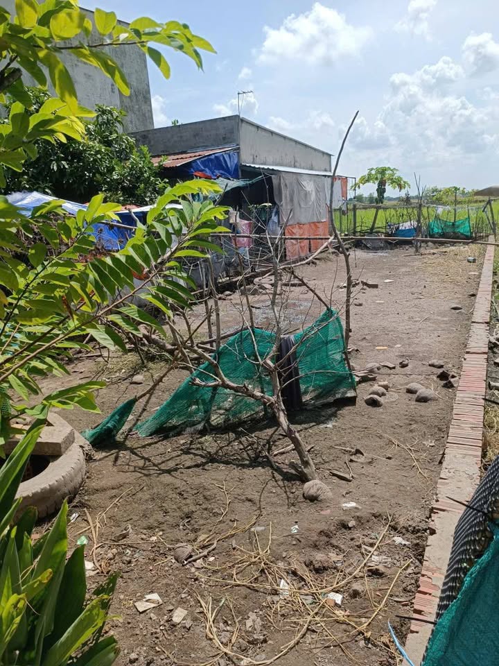 Đất thổ cư Đức Hòa Thượng, Long An 110m² giá 900 triệu - Sổ hồng chính chủ!