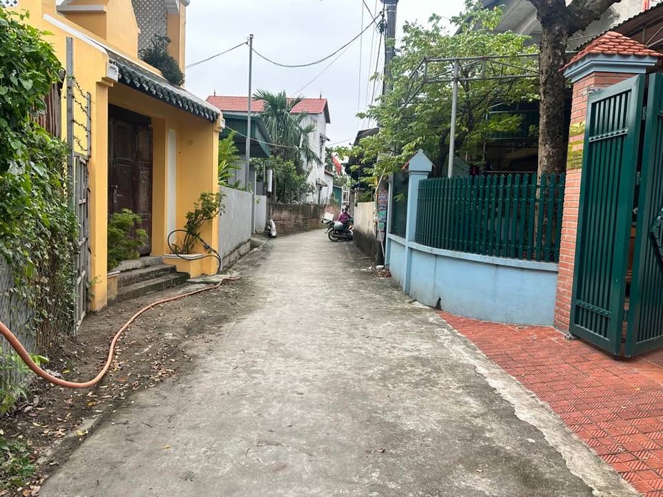 Đất Đan Kim, Văn Giang 101m² giá 4x tỷ - Vị trí đẹp, ô tô vào tận nơi!