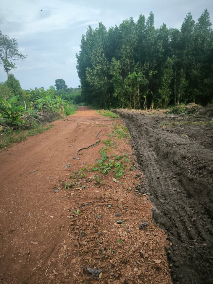 Đất nền 7200m² tại xã An Long, Phú Giáo - Giá chỉ 1.3 tỷ, đầu tư sinh lời!