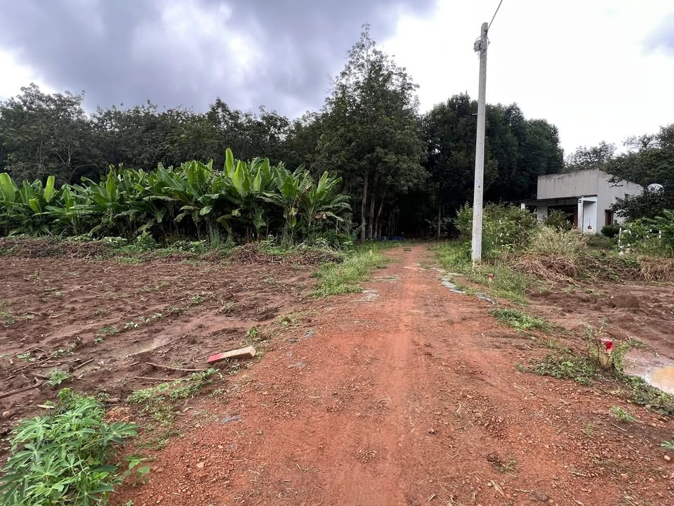 Đất nền An Linh, Phú Giáo 330m² giá 450 triệu - Cơ hội đầu tư tuyệt vời!