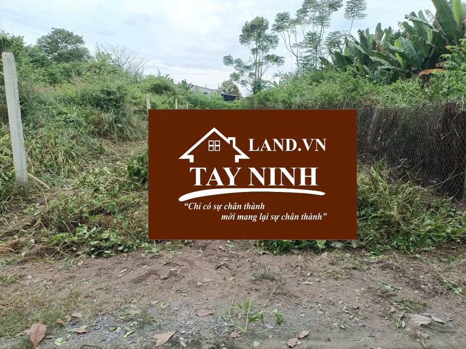 Đất thổ cư 162m² hẻm 90 Nguyễn Văn Linh - Giá chỉ 1.75 tỷ VND