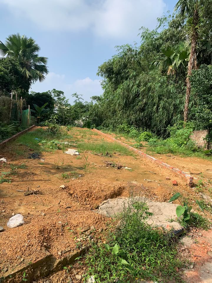 Đất thổ cư 90m² tại Khu Thống Nhất, Cẩm Khê, giá chỉ 1.3 tỷ - Đầu tư sinh lời!