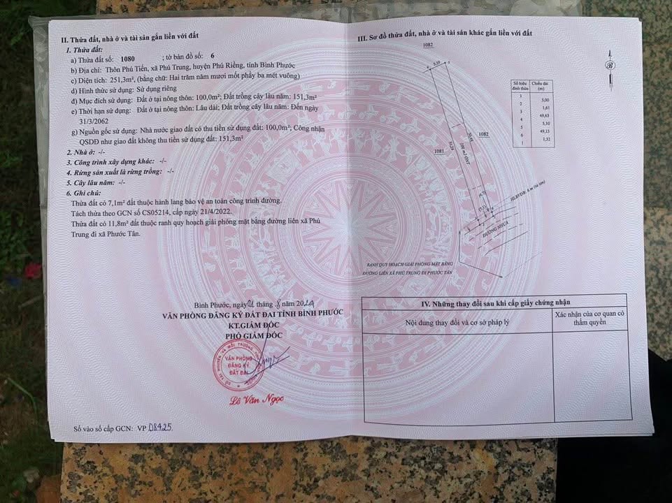 Đất nền 250m² mặt tiền đường nhựa xã Phú Trung - Giá 260 triệu chỉ có một!