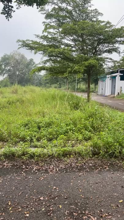 Đất thổ cư Sông Trầu Trảng Bom 98m² giá 900 triệu - Nở hậu 6m, sổ riêng sẵn!