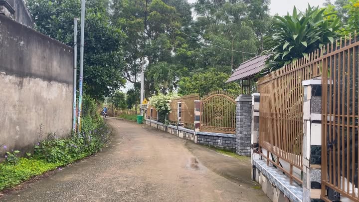 Đất nền mặt tiền Nguyễn Văn Linh, thị trấn Gia Ray, 150m² - Giá chỉ từ 800 triệu!