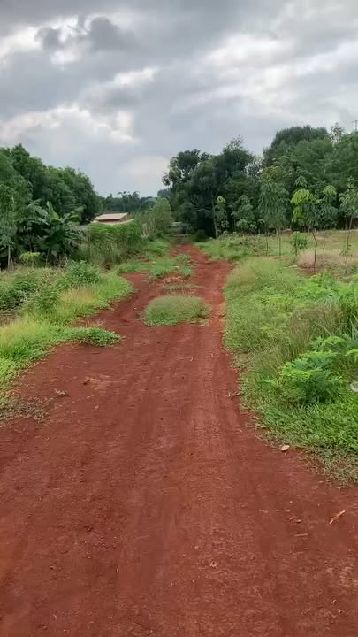 Đất Farm 4 hecta tại Bù Đốp, Bình Phước - Giá chỉ 1.5 tỷ, Sổ đỏ chính chủ!