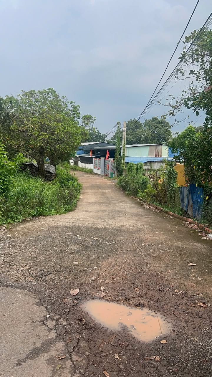 Đất thổ cư KP8 Thị Trấn Gia Ray 125m² giá 800 triệu - Vị trí trung tâm, dân cư đông đúc!