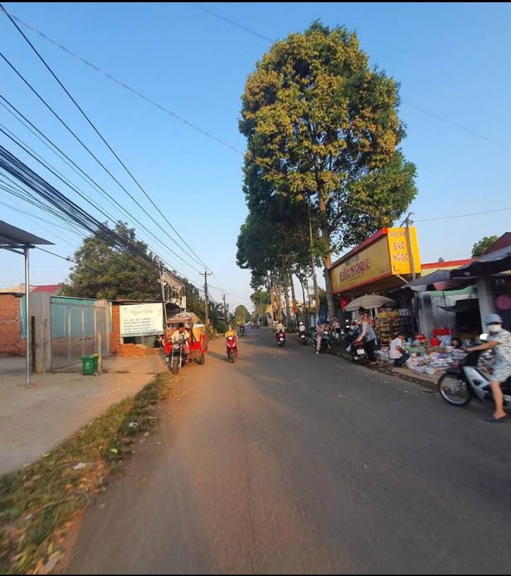 Đất nền Long Khánh 245m² giá 980 triệu - Mặt tiền nhựa thông thoáng