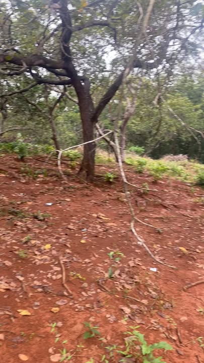 Đất nền Tân Phú 93.000m² giá 1.35 tỷ - Cơ hội đầu tư tuyệt vời!