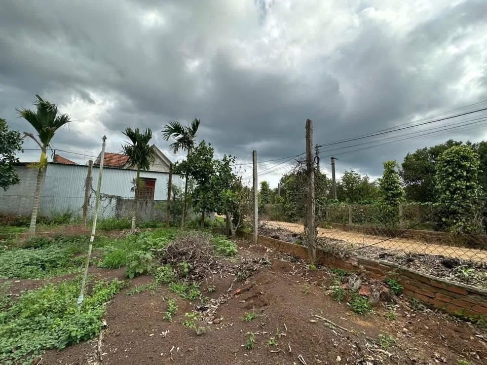 Nhà vườn Cư Ni, Ea Kar 1296m² giá 1.2 tỷ - Khu dân cư đông đúc!