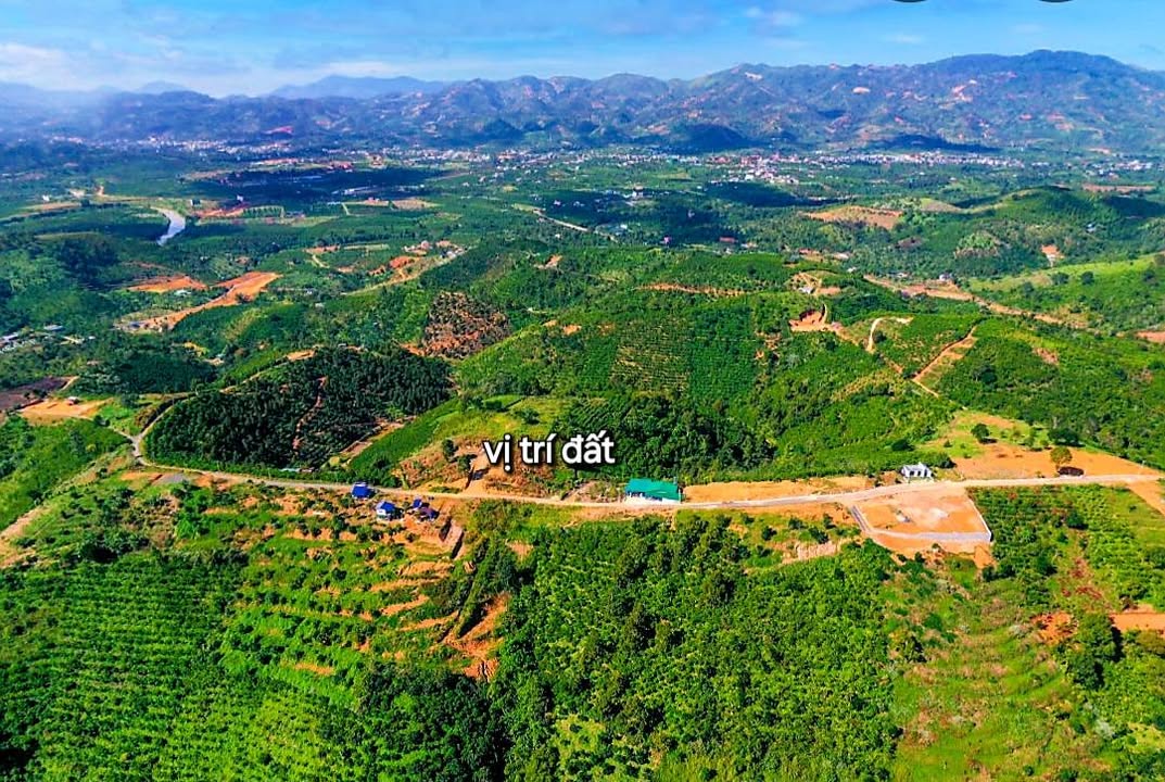 Đất thổ cư Tân Lạc Bảo Lộc 300m² giá 980 triệu - View đồi mây tuyệt đẹp!