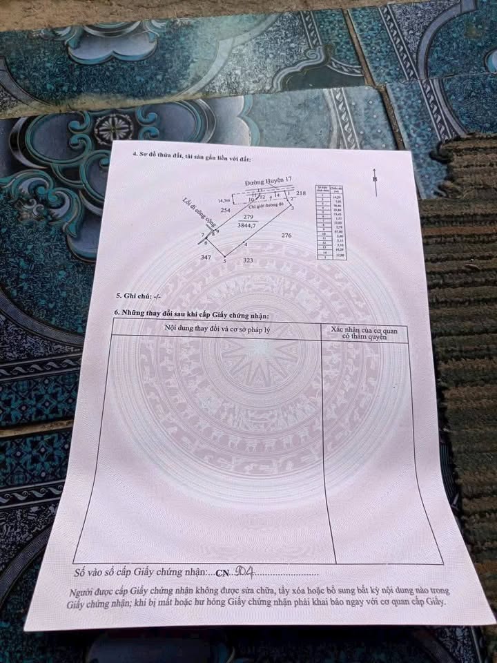 Đất nền mặt tiền Đường Huyện 17, Cần Đước, 5650m² - Cơ hội đầu tư sinh lời!