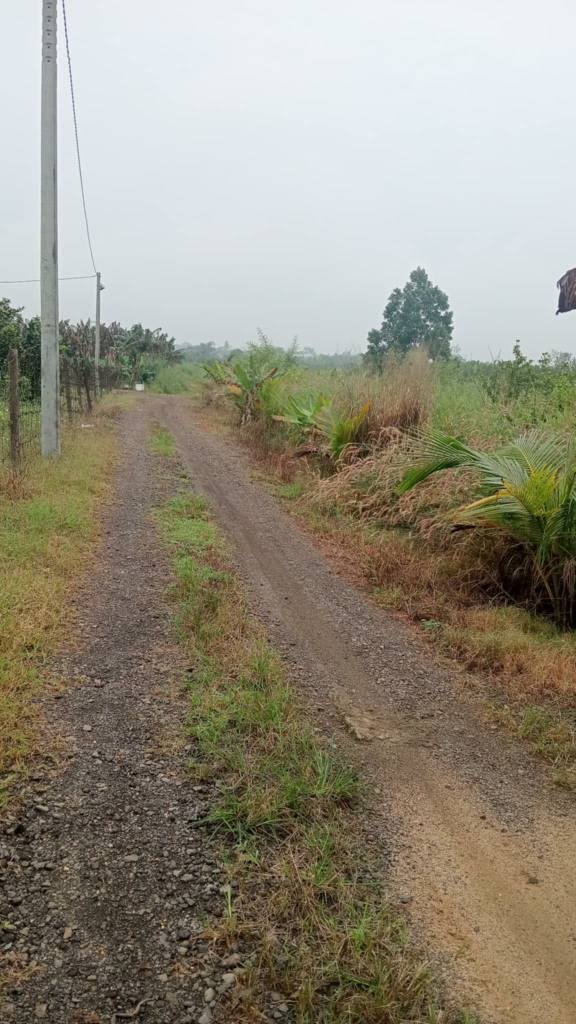 Đất nền 1000m² xã Bầu Hàm Trảng Bom chỉ 800 triệu - Đầu tư sinh lời cao!