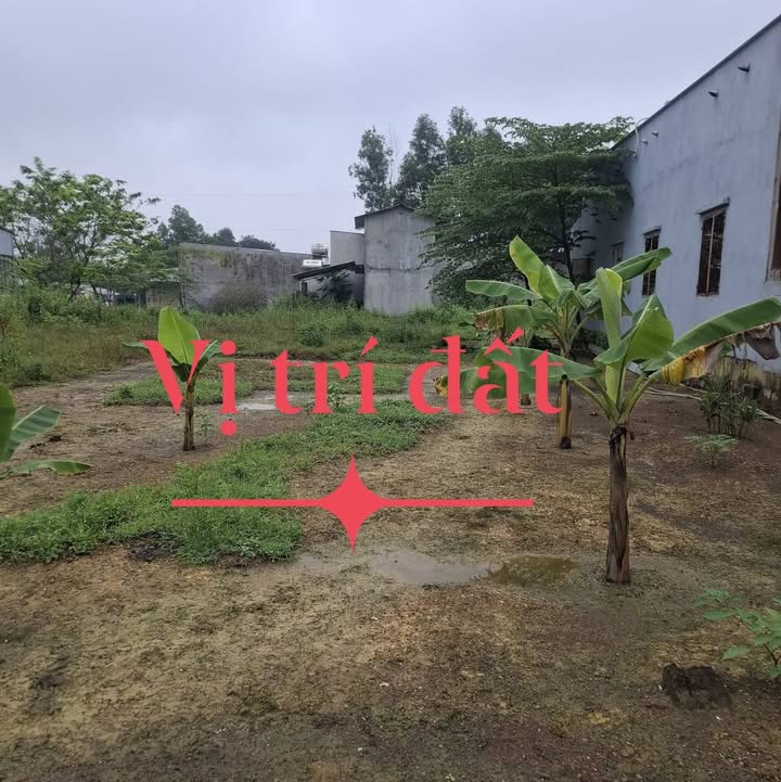 Đất nền Vĩnh An 575m² giá 1.1 tỷ - Sổ đỏ chính chủ