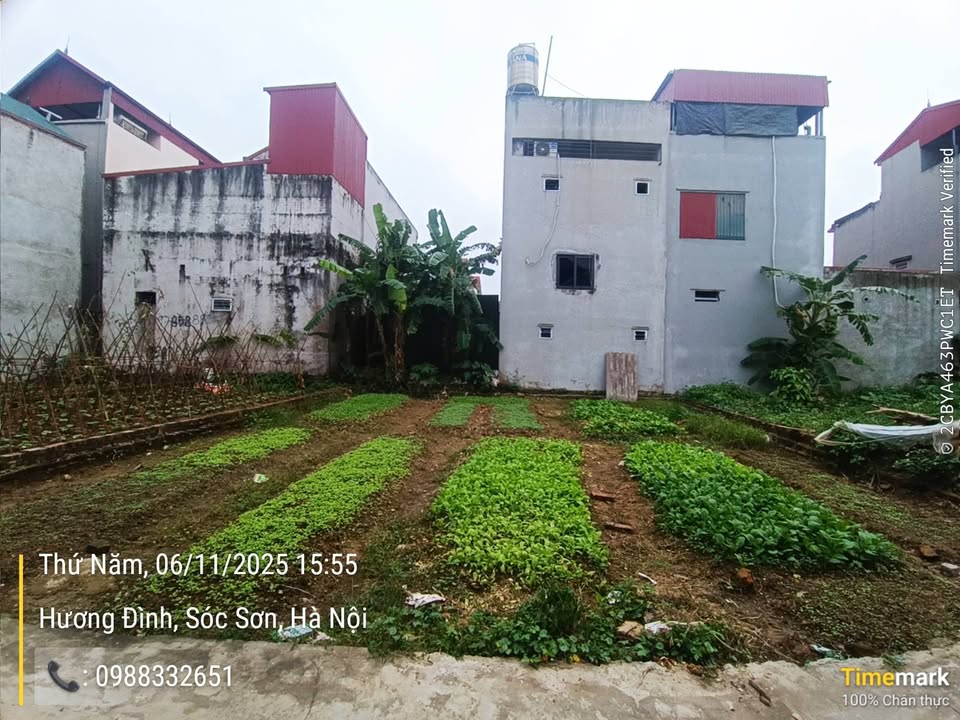 Đất Hương Đình, Sóc Sơn 110m² giá nhỉnh 3 tỷ - Vị trí đắc địa gần sân bay!