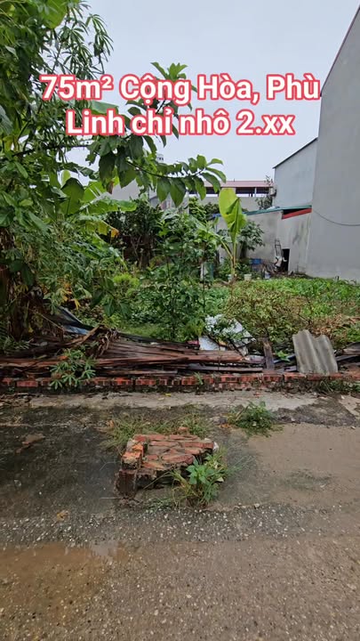 Đất nền Cộng Hòa, Phù Linh 75m² giá cực tốt - Đầu tư sinh lời ngay!