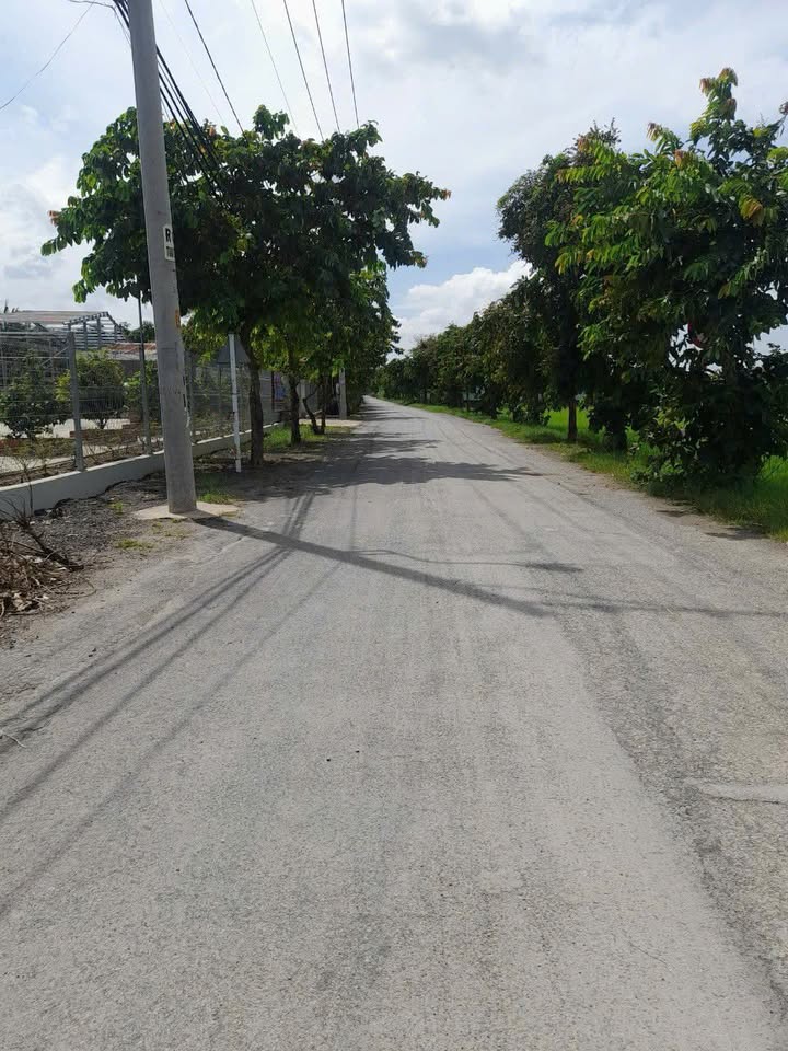 Đất nền mặt tiền đường Trương Thị Như, Hóc Môn 4800m² - Cơ hội đầu tư tuyệt vời!