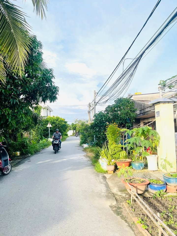 Đất nền đường số 30, Tân Thông Hội, Củ Chi 133m² - Sổ hồng chính chủ, giá chỉ 3 tỷ!