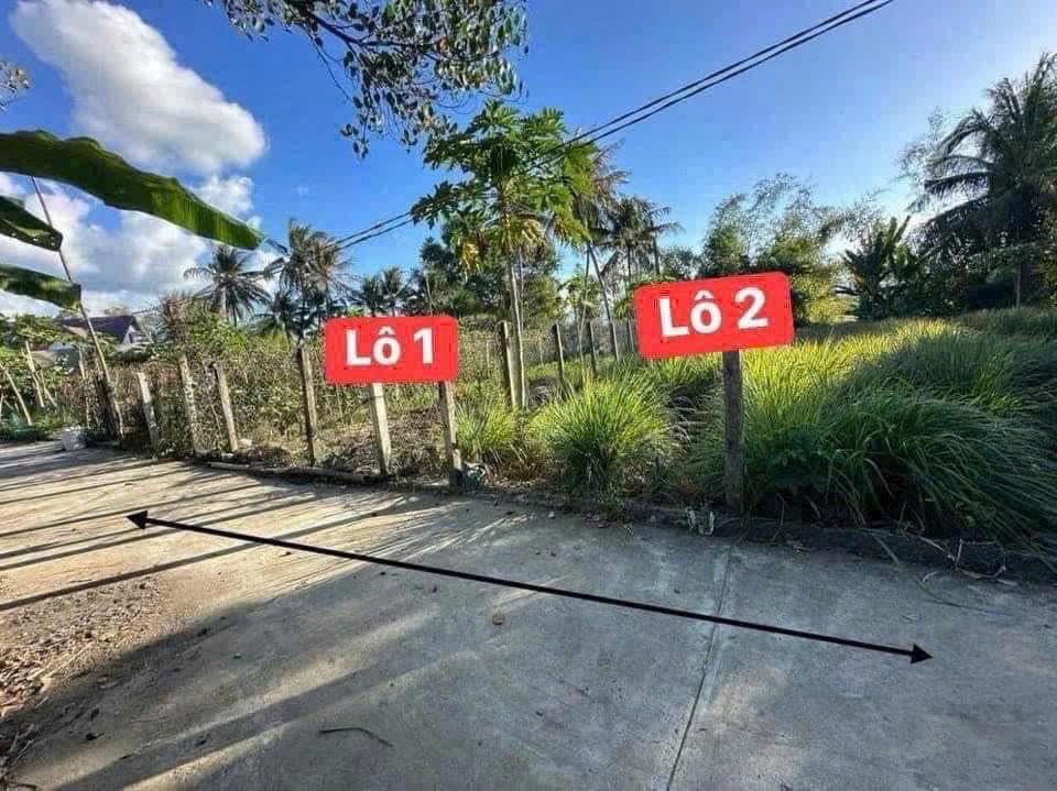 Đất nền Diên Lạc 136m² giá 1.152 tỷ - Sổ hồng chính chủ, bớt lộc!